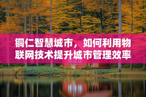 铜仁智慧城市，如何利用物联网技术提升城市管理效率？