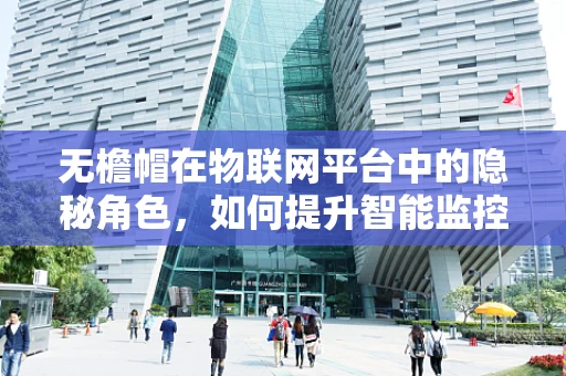 无檐帽在物联网平台中的隐秘角色，如何提升智能监控的精准度？