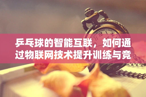 乒乓球的智能互联，如何通过物联网技术提升训练与竞技体验？