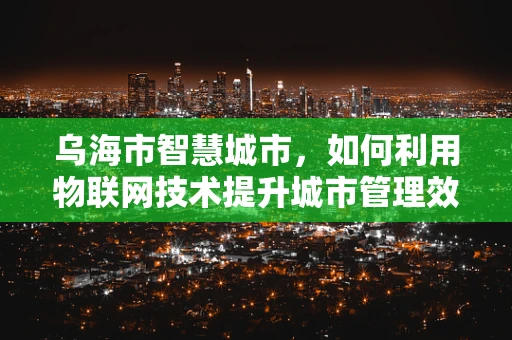 乌海市智慧城市，如何利用物联网技术提升城市管理效率？
