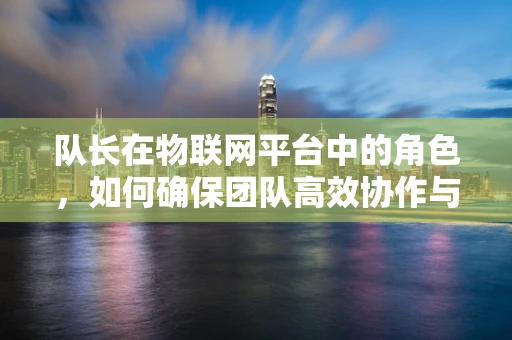 队长在物联网平台中的角色，如何确保团队高效协作与决策？