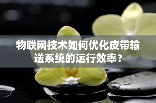 物联网技术如何优化皮带输送系统的运行效率？