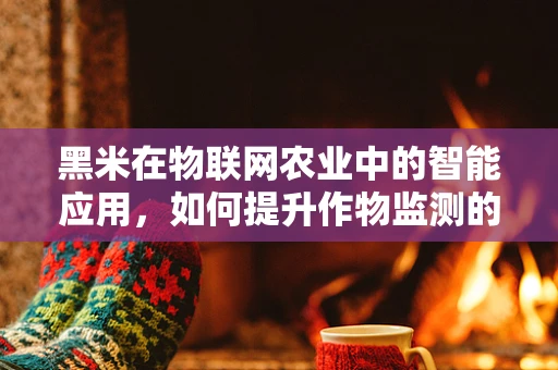 黑米在物联网农业中的智能应用，如何提升作物监测的精准度？