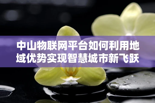 中山物联网平台如何利用地域优势实现智慧城市新飞跃？