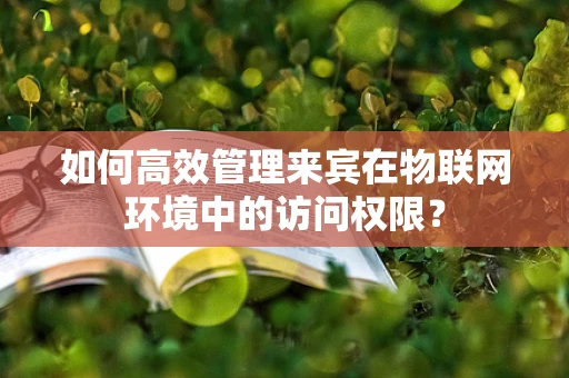如何高效管理来宾在物联网环境中的访问权限？