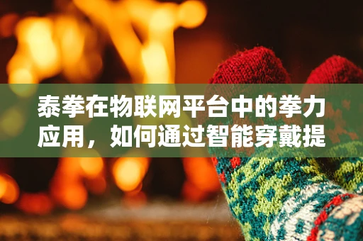 泰拳在物联网平台中的拳力应用，如何通过智能穿戴提升训练效率？