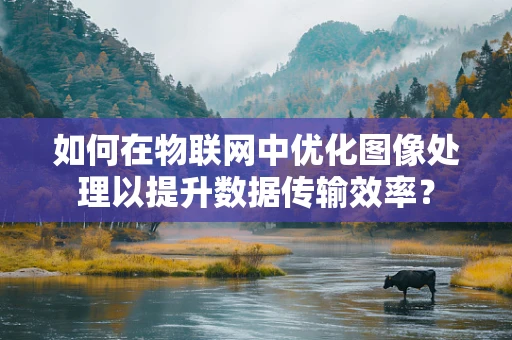 如何在物联网中优化图像处理以提升数据传输效率？