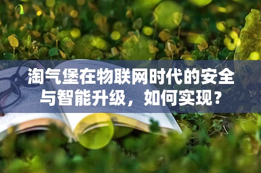 淘气堡在物联网时代的安全与智能升级，如何实现？