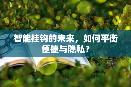 智能挂钩的未来，如何平衡便捷与隐私？