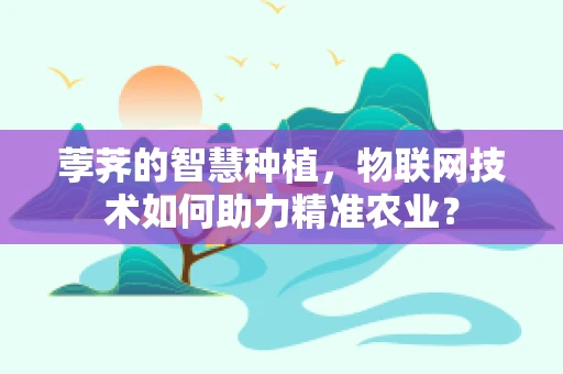 荸荠的智慧种植，物联网技术如何助力精准农业？