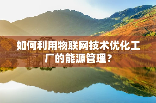 如何利用物联网技术优化工厂的能源管理？
