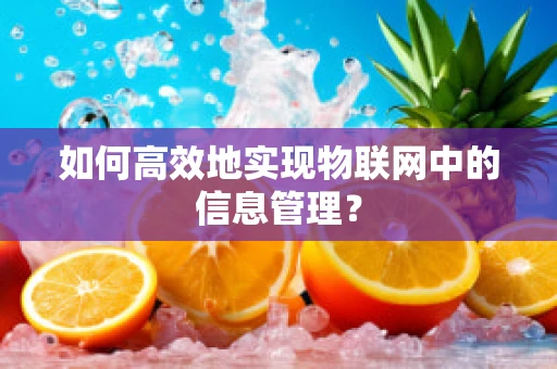 如何高效地实现物联网中的信息管理？