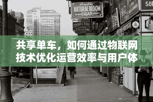 共享单车，如何通过物联网技术优化运营效率与用户体验？