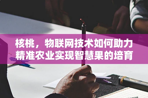 核桃，物联网技术如何助力精准农业实现智慧果的培育？