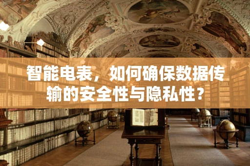 智能电表，如何确保数据传输的安全性与隐私性？