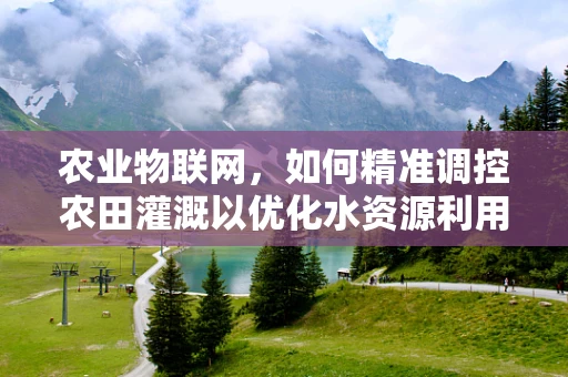 农业物联网，如何精准调控农田灌溉以优化水资源利用？