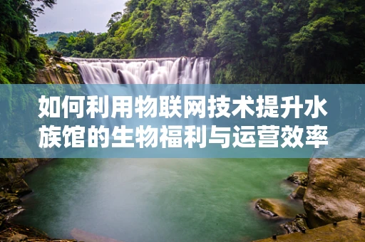 如何利用物联网技术提升水族馆的生物福利与运营效率？