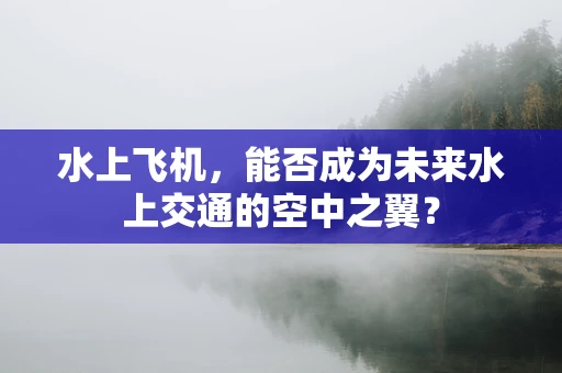 水上飞机，能否成为未来水上交通的空中之翼？