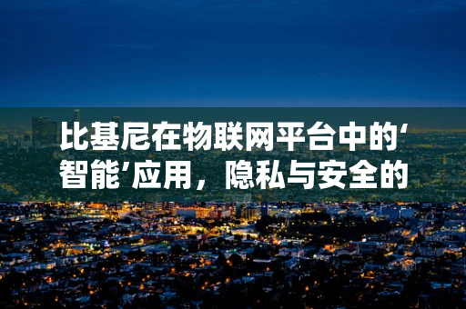 比基尼在物联网平台中的‘智能’应用，隐私与安全的微妙平衡