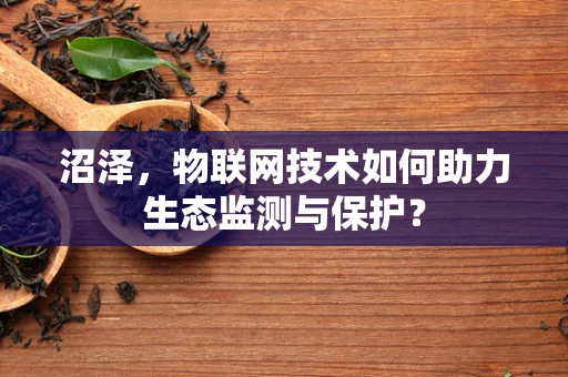 沼泽，物联网技术如何助力生态监测与保护？