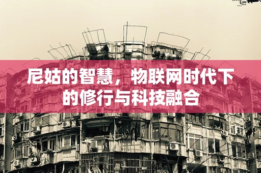 尼姑的智慧，物联网时代下的修行与科技融合