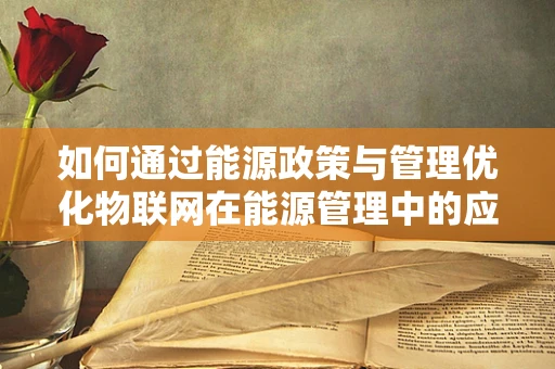 如何通过能源政策与管理优化物联网在能源管理中的应用？
