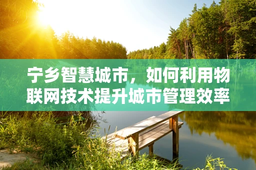 宁乡智慧城市，如何利用物联网技术提升城市管理效率？