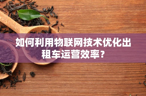 如何利用物联网技术优化出租车运营效率？