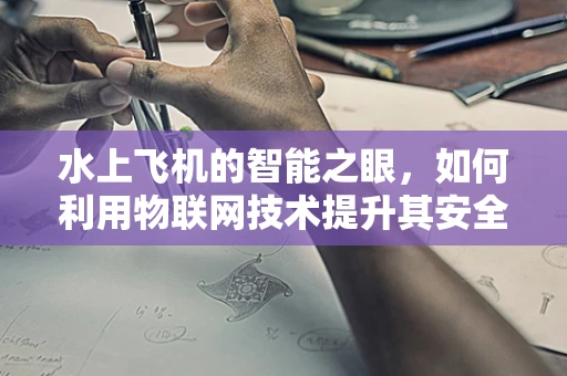 水上飞机的智能之眼，如何利用物联网技术提升其安全监控与效率？