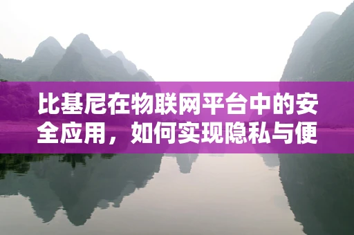 比基尼在物联网平台中的安全应用，如何实现隐私与便捷的平衡？