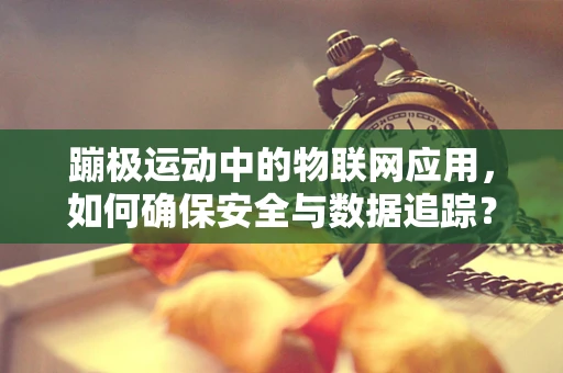 蹦极运动中的物联网应用，如何确保安全与数据追踪？