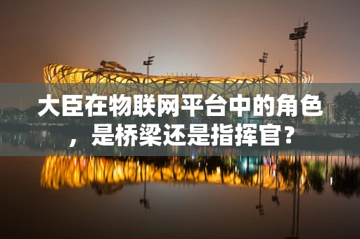 大臣在物联网平台中的角色，是桥梁还是指挥官？