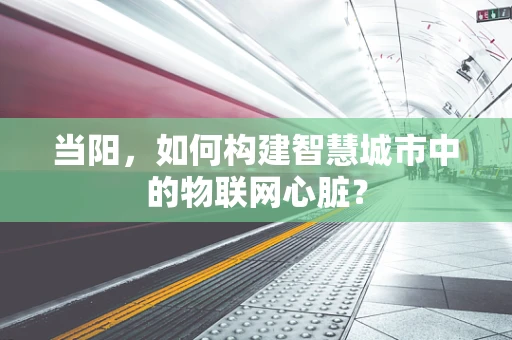 当阳，如何构建智慧城市中的物联网心脏？