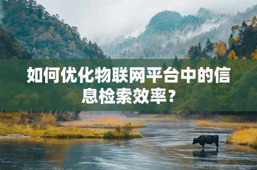 如何优化物联网平台中的信息检索效率？
