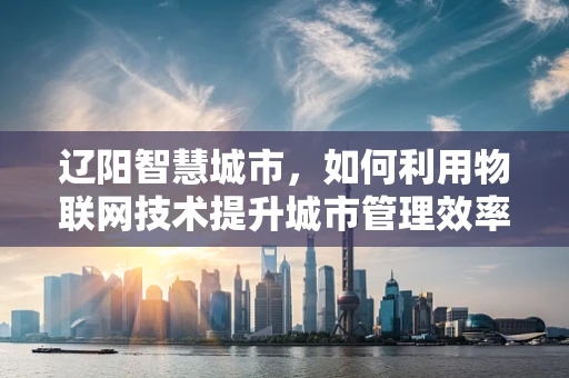 辽阳智慧城市，如何利用物联网技术提升城市管理效率？