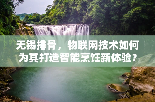 无锡排骨，物联网技术如何为其打造智能烹饪新体验？