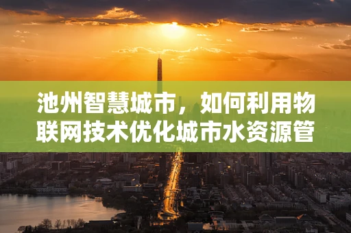 池州智慧城市，如何利用物联网技术优化城市水资源管理？