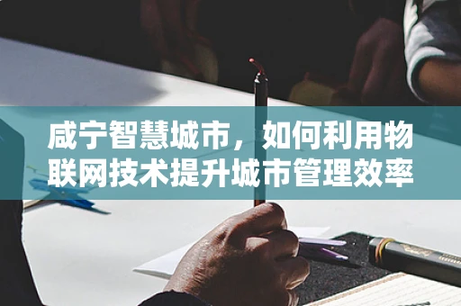 咸宁智慧城市，如何利用物联网技术提升城市管理效率？