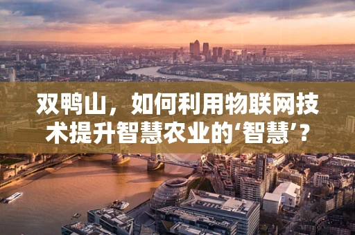 双鸭山，如何利用物联网技术提升智慧农业的‘智慧’？