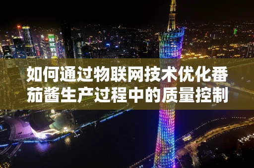 如何通过物联网技术优化番茄酱生产过程中的质量控制？