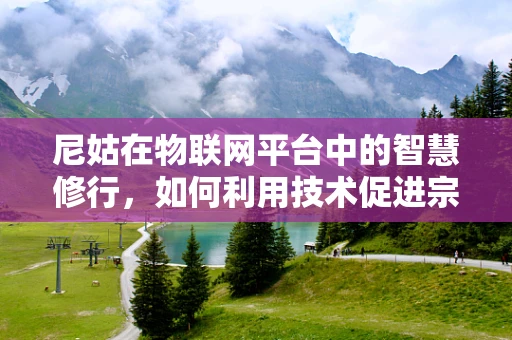 尼姑在物联网平台中的智慧修行，如何利用技术促进宗教场所的可持续发展？