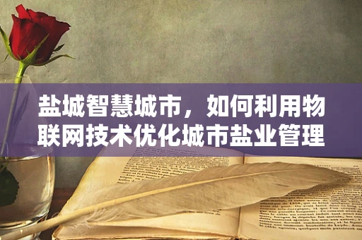 盐城智慧城市，如何利用物联网技术优化城市盐业管理？