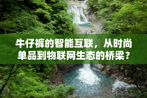 牛仔裤的智能互联，从时尚单品到物联网生态的桥梁？