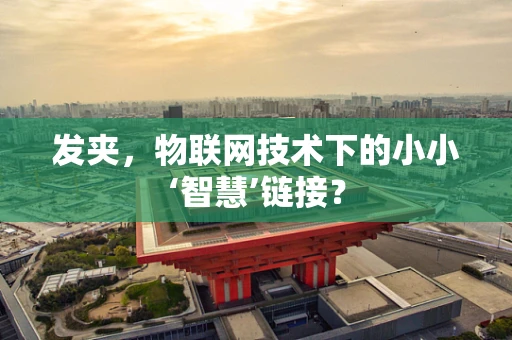 发夹，物联网技术下的小小‘智慧’链接？