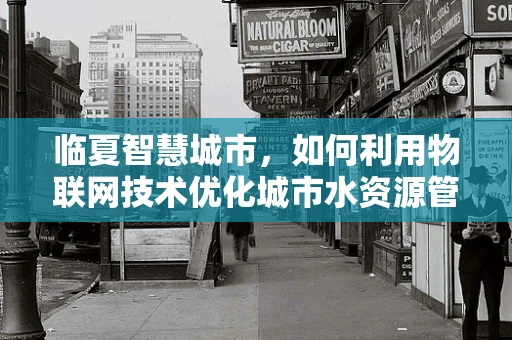 临夏智慧城市，如何利用物联网技术优化城市水资源管理？