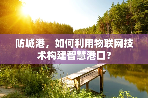 防城港，如何利用物联网技术构建智慧港口？