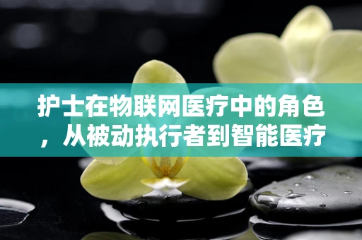 护士在物联网医疗中的角色，从被动执行者到智能医疗的驱动者？