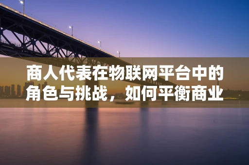 商人代表在物联网平台中的角色与挑战，如何平衡商业利益与技术创新？