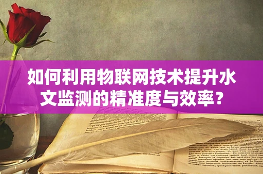 如何利用物联网技术提升水文监测的精准度与效率？