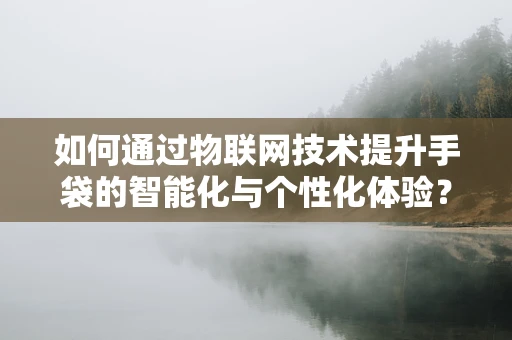 如何通过物联网技术提升手袋的智能化与个性化体验？